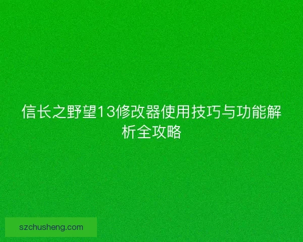 信长之野望13修改器使用技巧与功能解析全攻略