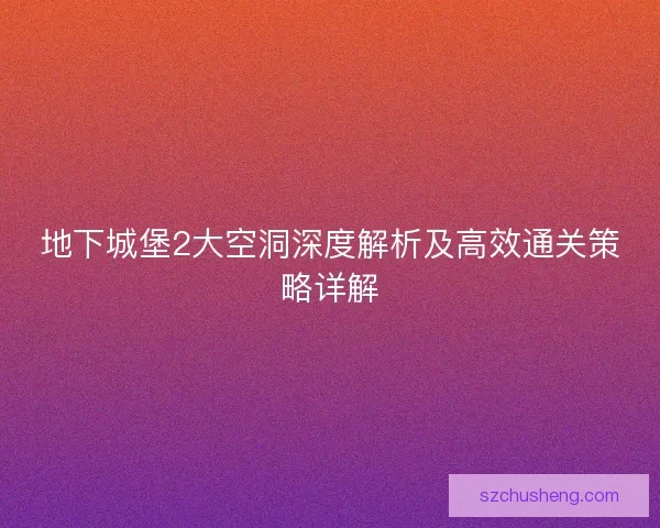 地下城堡2大空洞深度解析及高效通关策略详解