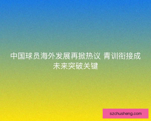 中国球员海外发展再掀热议 青训衔接成未来突破关键 中国球员海外发展再掀热议 青训衔接成未来突破关键