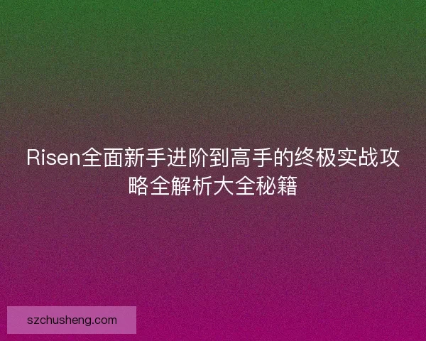 Risen全面新手进阶到高手的终极实战攻略全解析大全秘籍