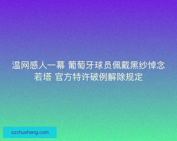 温网感人一幕 葡萄牙球员佩戴黑纱悼念若塔 官方特许破例解除规定