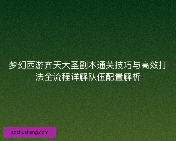 梦幻西游齐天大圣副本通关技巧与高效打法全流程详解队伍配置解析