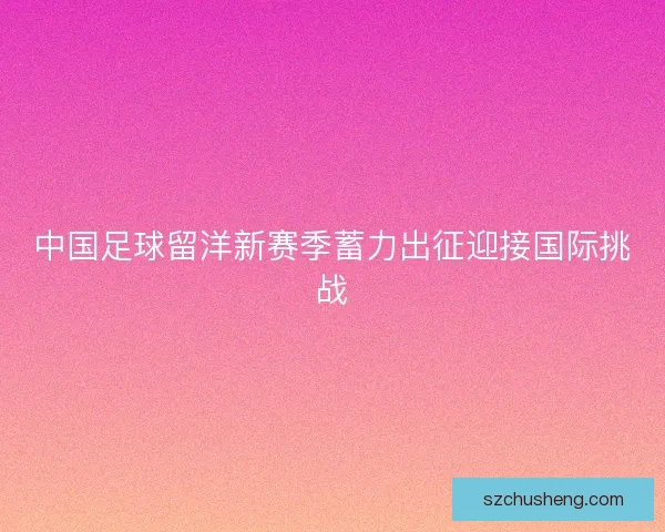 中国足球留洋新赛季蓄力出征迎接国际挑战 中国足球留洋新赛季蓄力出征迎接国际挑战