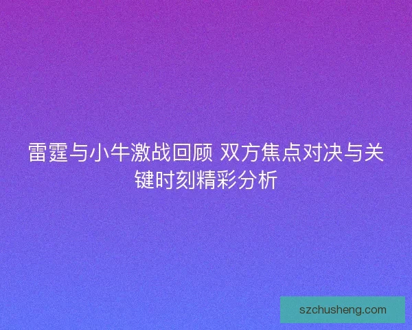 雷霆与小牛激战回顾 双方焦点对决与关键时刻精彩分析