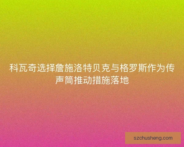 科瓦奇选择詹施洛特贝克与格罗斯作为传声筒推动措施落地